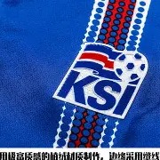 娱乐活动-冰岛队最好成绩