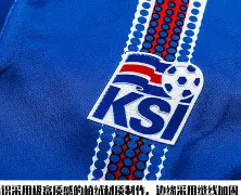 冰岛队最好成绩 冰岛队最好成绩