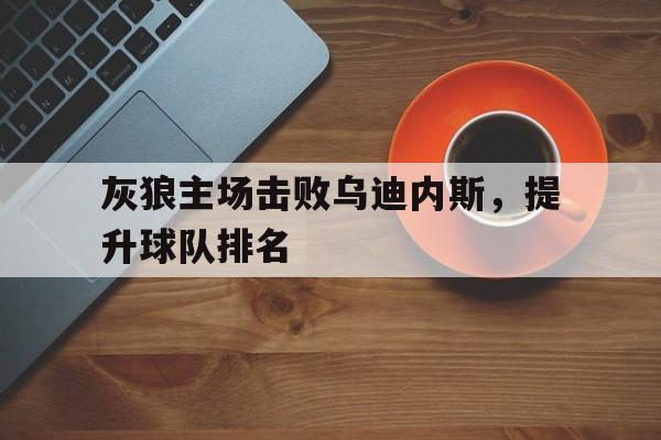 关于灰狼主场击败乌迪内斯，提升球队排名的信息